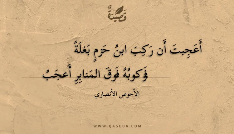 قصيدة أعجبت أن ركب ابن حزم بغلة