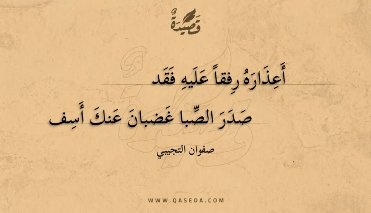 قصيدة أعذاره رفقا عليه فقد