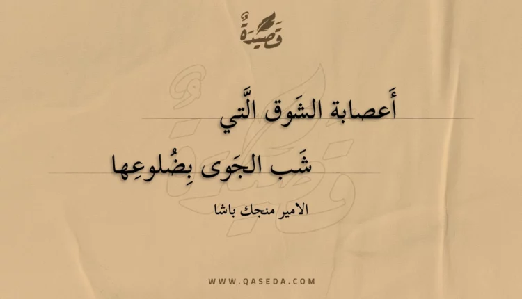 قصيدة أعصابة الشوق التي
