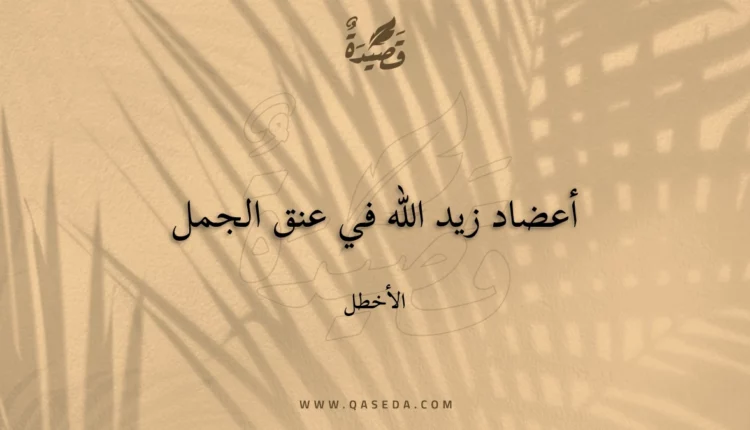 قصيدة أعضاد زيد الله في عنق الجمل