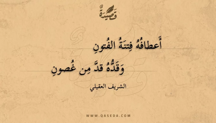قصيدة أعطافه فتنة الفتون