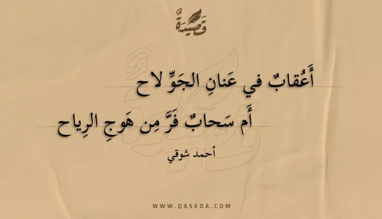 قصيدة أعقاب في عنان الجو لاح