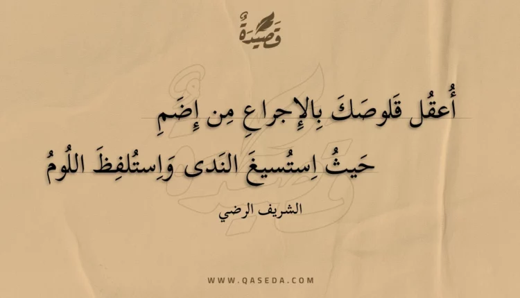 قصيدة أعقل قلوصك بالإجراع من إضم