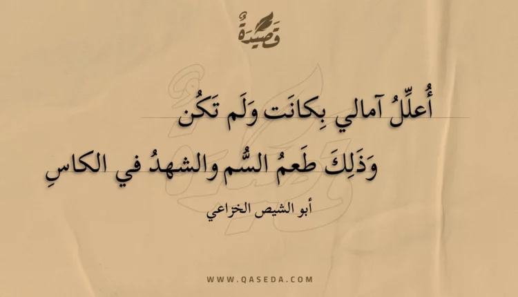 قصيدة أعلل آمالي بكانت ولم تكن