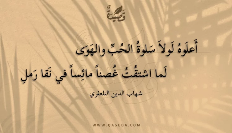 قصيدة أعلوه لولا سلوة الحب والهوى