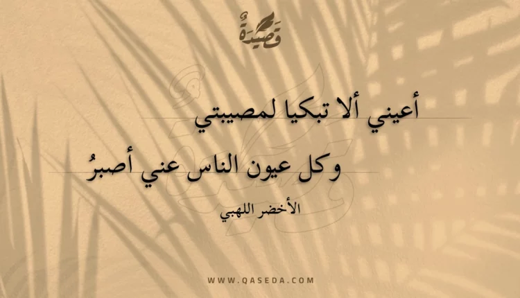 قصيدة أعيني ألا تبكيا لمصيبتي