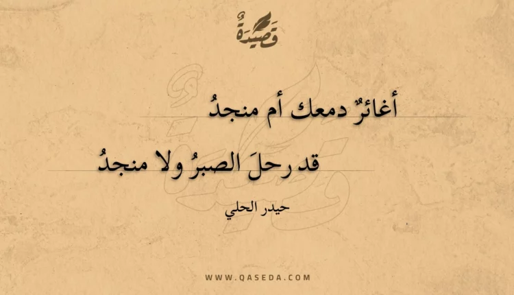 قصيدة أغائر دمعك أم منجد