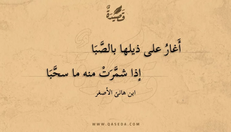 قصيدة أغار على ذيلها بالصبا
