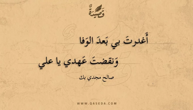 قصيدة أغدرت بي بعد الوفا