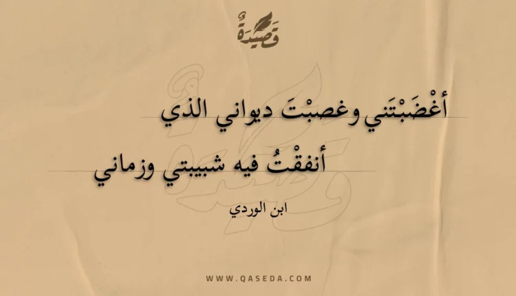 قصيدة أغضبتني وغصبت ديواني الذي
