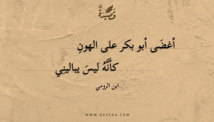 قصيدة أغضى أبو بكر على الهون