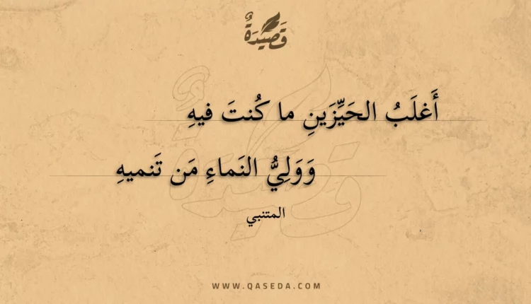 قصيدة أغلب الحيزين ما كنت فيه