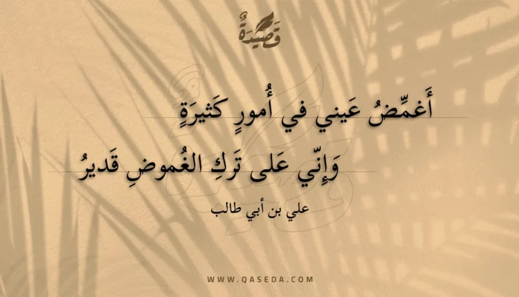 قصيدة أغمض عيني في أمور كثيرة