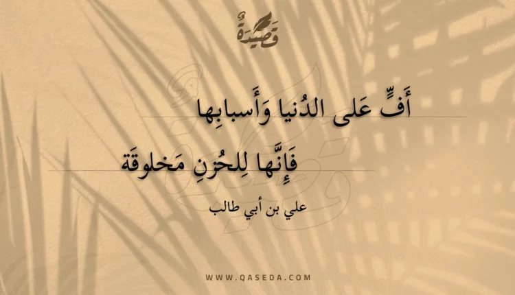 قصيدة أف على الدنيا وأسبابها