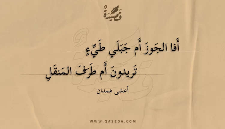 قصيدة أفا الجوز أم جبلي طيء