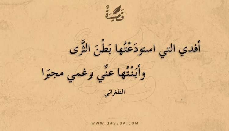 قصيدة أفدي التي استودعتها بطن الثرى