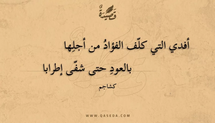 قصيدة أفدي التي كلف الفؤاد من أجلها