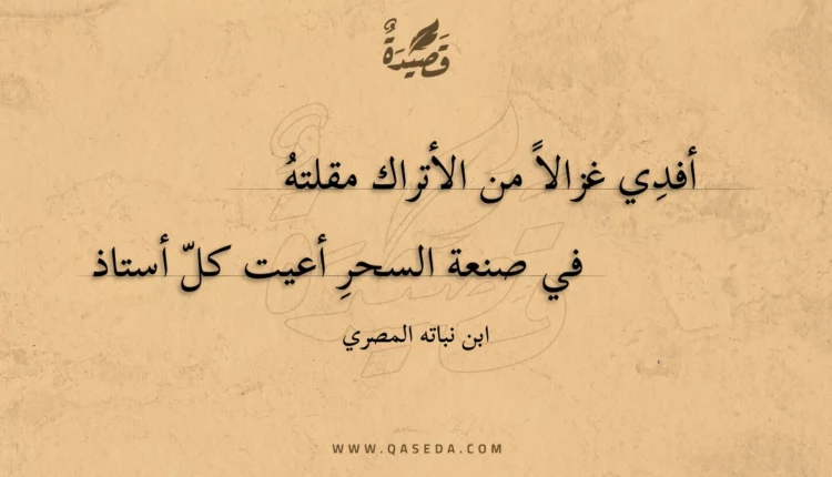 قصيدة أفدي غزالا من الأتراك مقلته