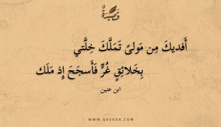 قصيدة أفديك من مولىً تملك خلتي