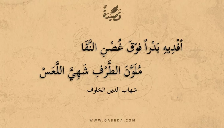 قصيدة أفديه بدرا فوق غصن النقا