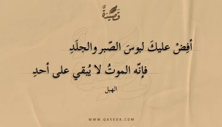 قصيدة أفض عليك لبوس الصبر والجلد