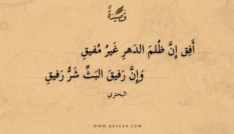 قصيدة أفق إن ظلم الدهر غير مفيق