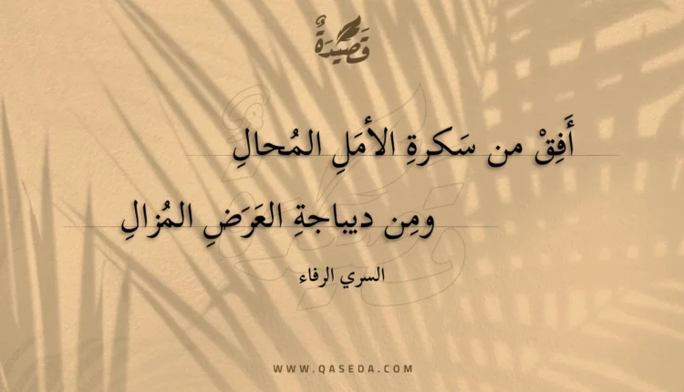 قصيدة أفق من سكرة الأمل المحال