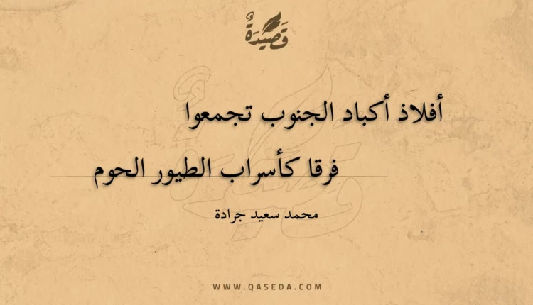 قصيدة أفلاذ أكباد الجنوب تجمعوا