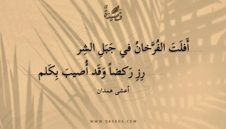 قصيدة أفلت الفرخان في جبل الشر