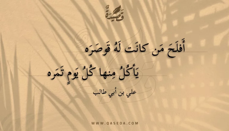 قصيدة أفلح من كانت له قوصره
