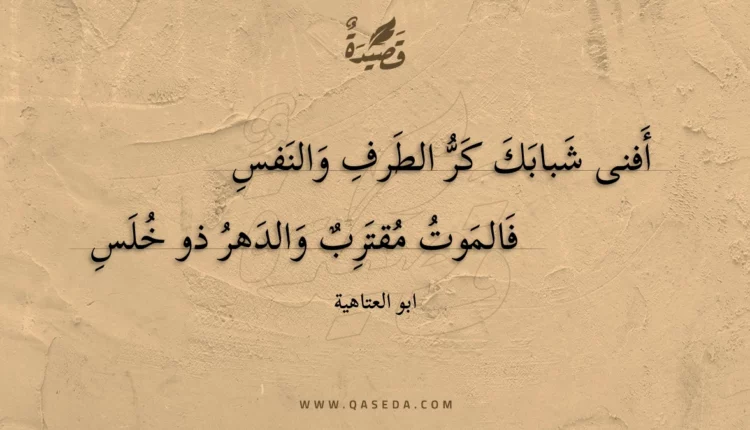 قصيدة أفنى شبابك كر الطرف والنفس