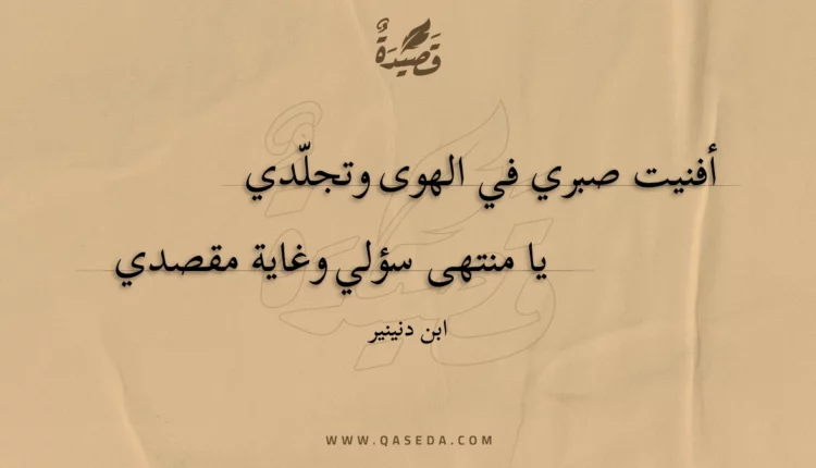 قصيدة أفنيت صبري في الهوى وتجلدي