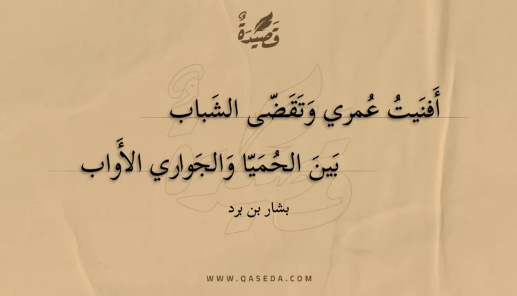 قصيدة أفنيت عمري وتقضى الشباب