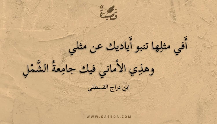 قصيدة أفي مثلها تنبو أياديك عن مثلي