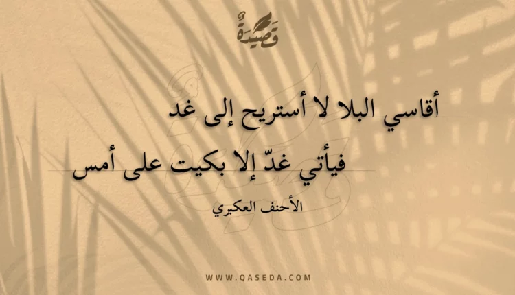 قصيدة أقاسي البلا لا أستريح إلى غد
