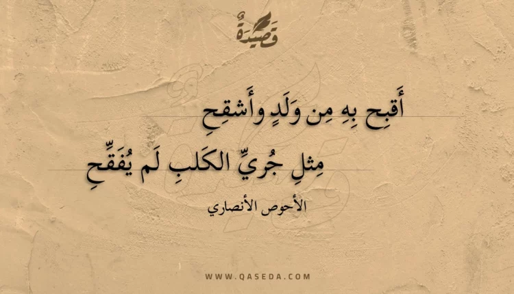 قصيدة أقبح به من ولد وأشقح