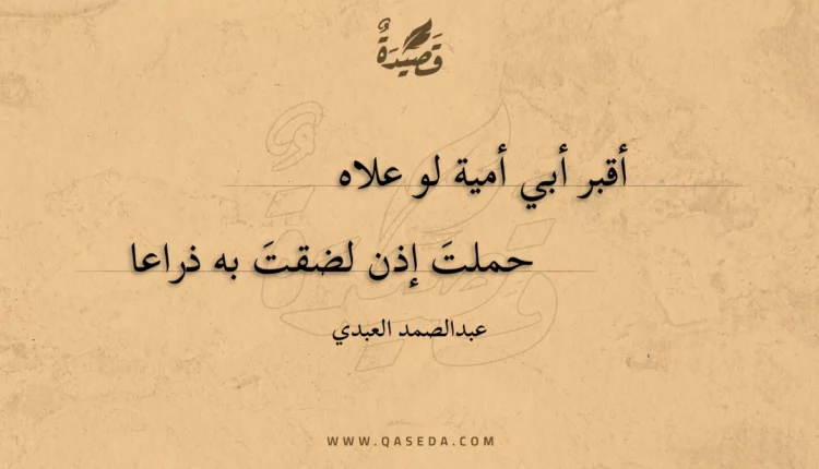 قصيدة أقبر أبي أمية لو علاه