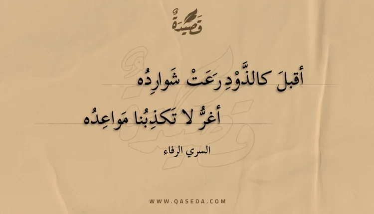 قصيدة أقبل كالذود رعت شوارده