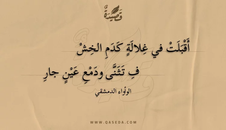 قصيدة أقبلت في غلالة كدم الخش