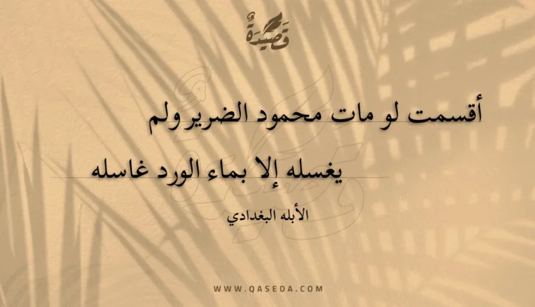 قصيدة أقسمت لو مات محمود الضرير ولم