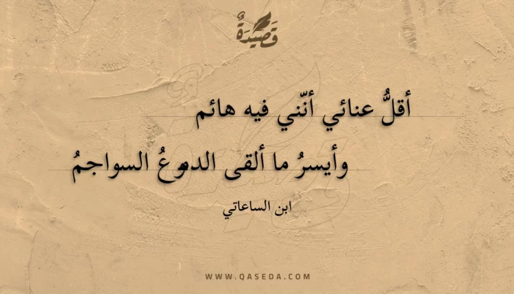 قصيدة أقل عنائي أنني فيه هائم