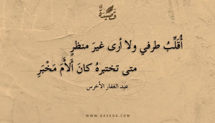 قصيدة أقلب طرفي ولا أرى غير منظر