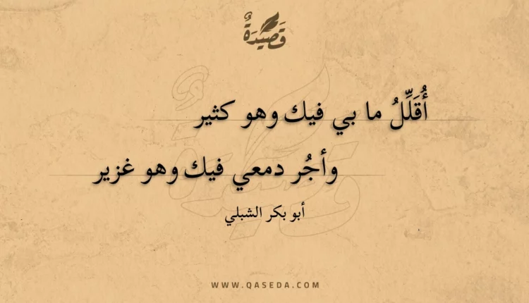 قصيدة أقلل ما بي فيك وهو كثير