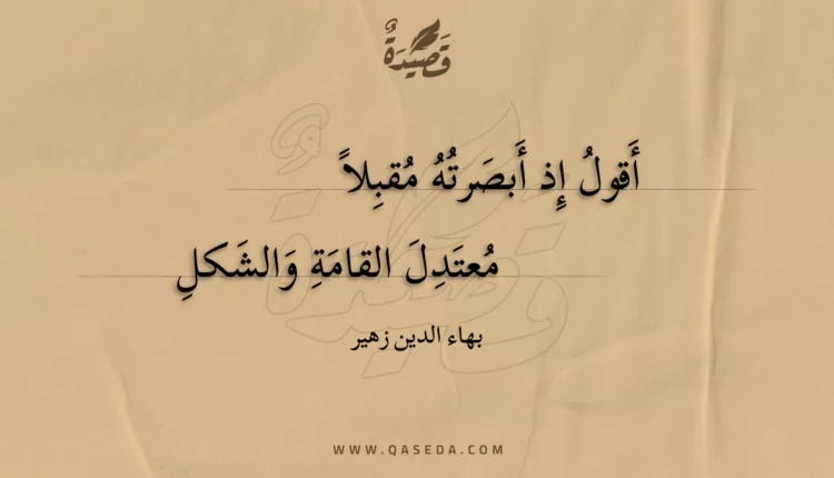 قصيدة أقول إذ أبصرته مقبلا