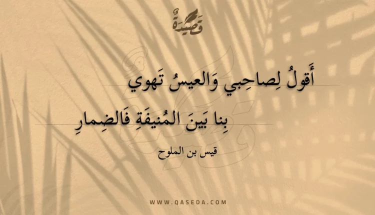 قصيدة أقول لصاحبي والعيس تهوي