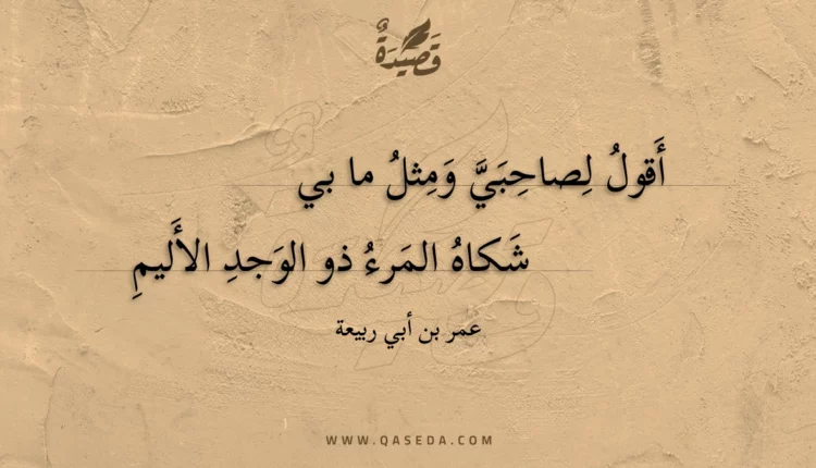 قصيدة أقول لصاحبي ومثل ما بي