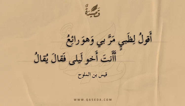 قصيدة أقول لظبي مر بي وهو رائع