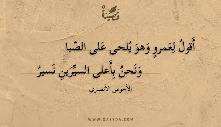 قصيدة أقول لعمرو وهو يلحى على الصبا