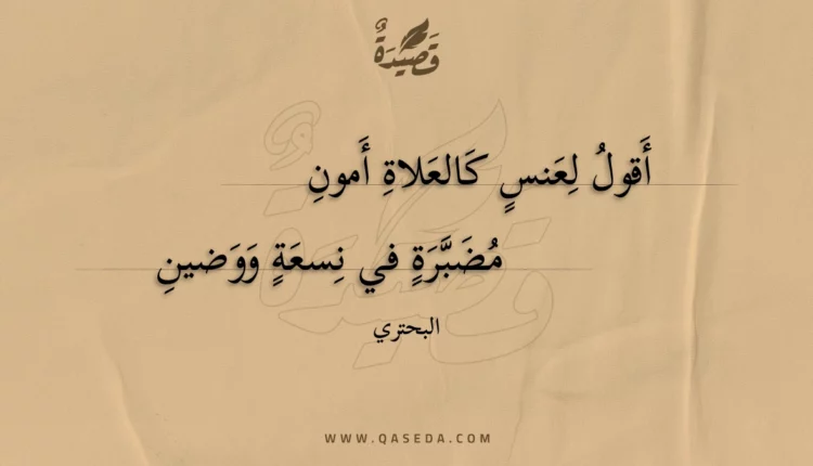 قصيدة أقول لعنس كالعلاة أمون