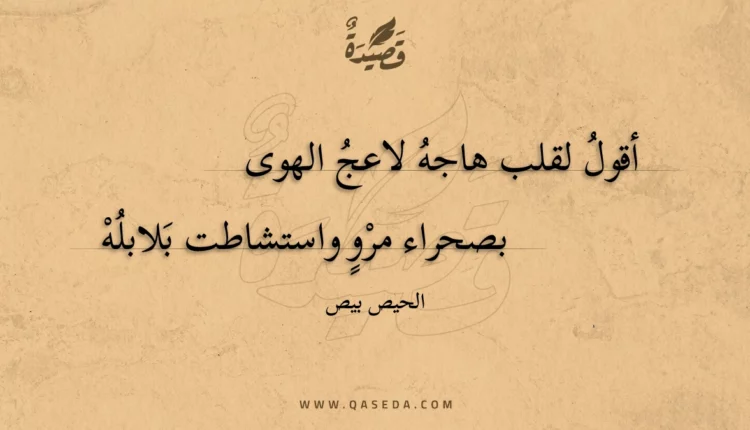 قصيدة أقول لقلب هاجه لاعج الهوى